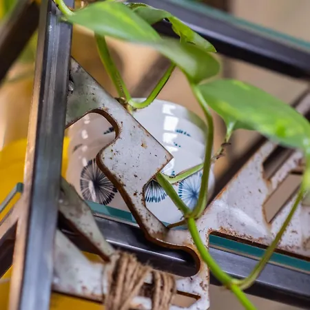 Casa Castelvecchio 아파트 *